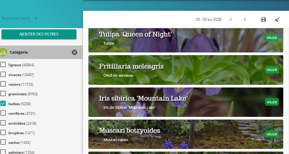 Capture-recherche-categorie-bulbes