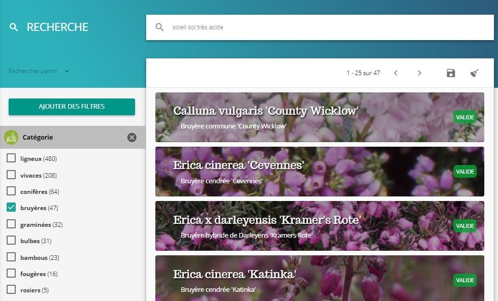 Capture-recherche-textuelle-plus-categorie