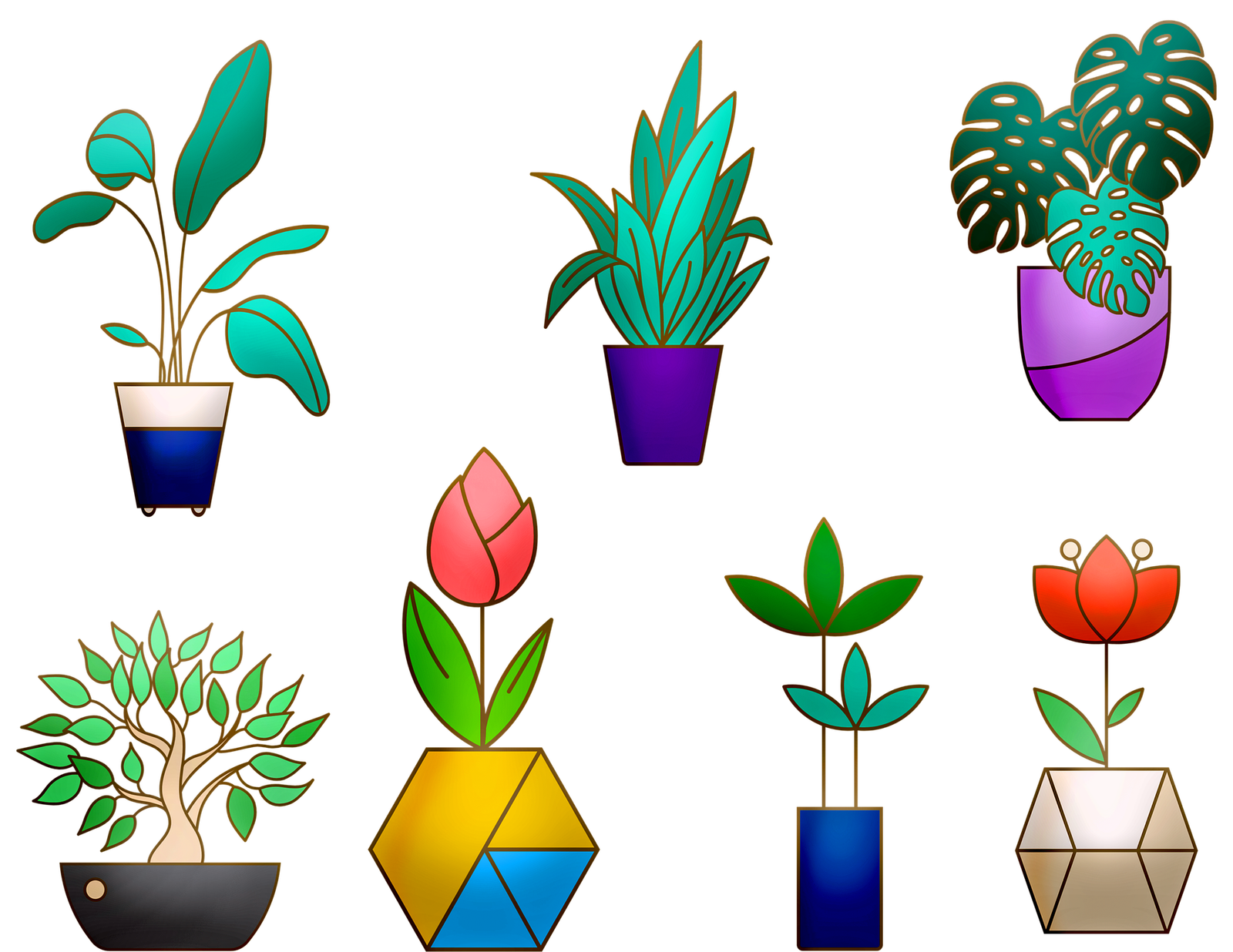 house-plants-4116992_1920