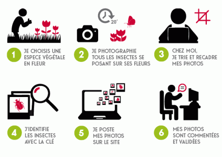 schema-participation-site-spipoll